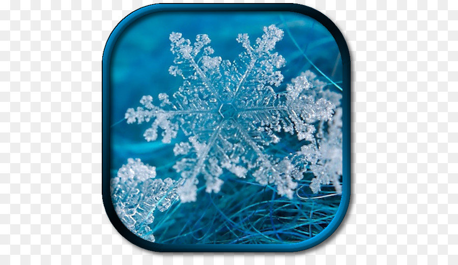 Flocon De Neige，Hiver PNG