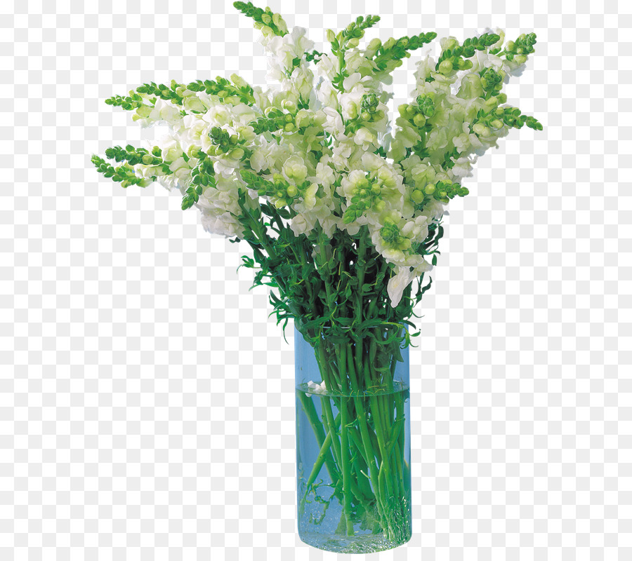 Briansk，Les Fleurs Coupées PNG