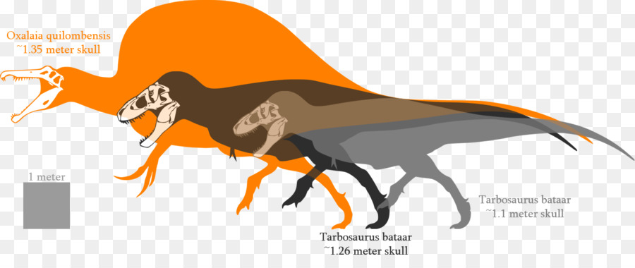 Le Tyrannosaure，Tarbosaurus PNG