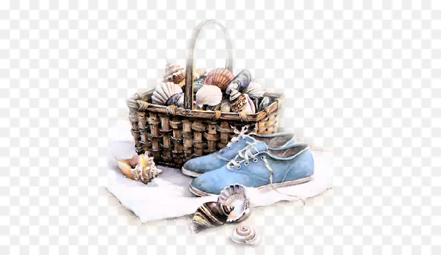 Panier Avec Coquillages Et Chaussures，Coquillages PNG