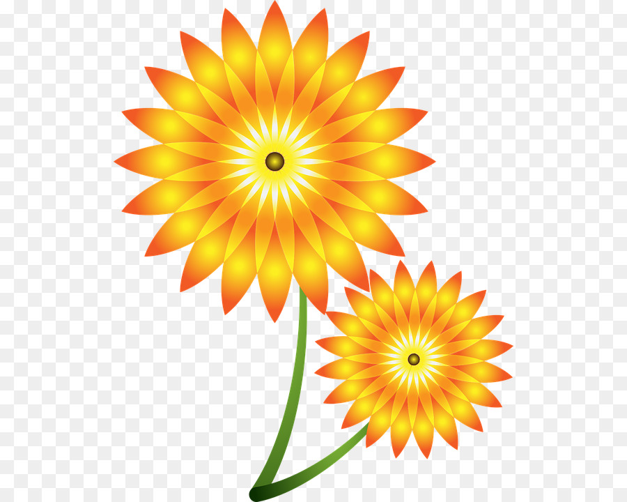 Commune De Tournesol，Fleur PNG