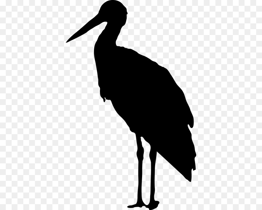 Oiseau，Silhouette PNG