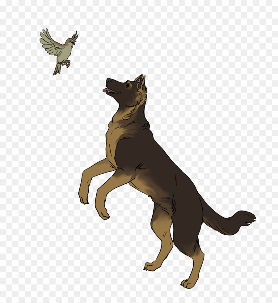 Race De Chien，Chien PNG