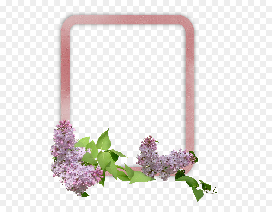 Fleur，Télécharger PNG