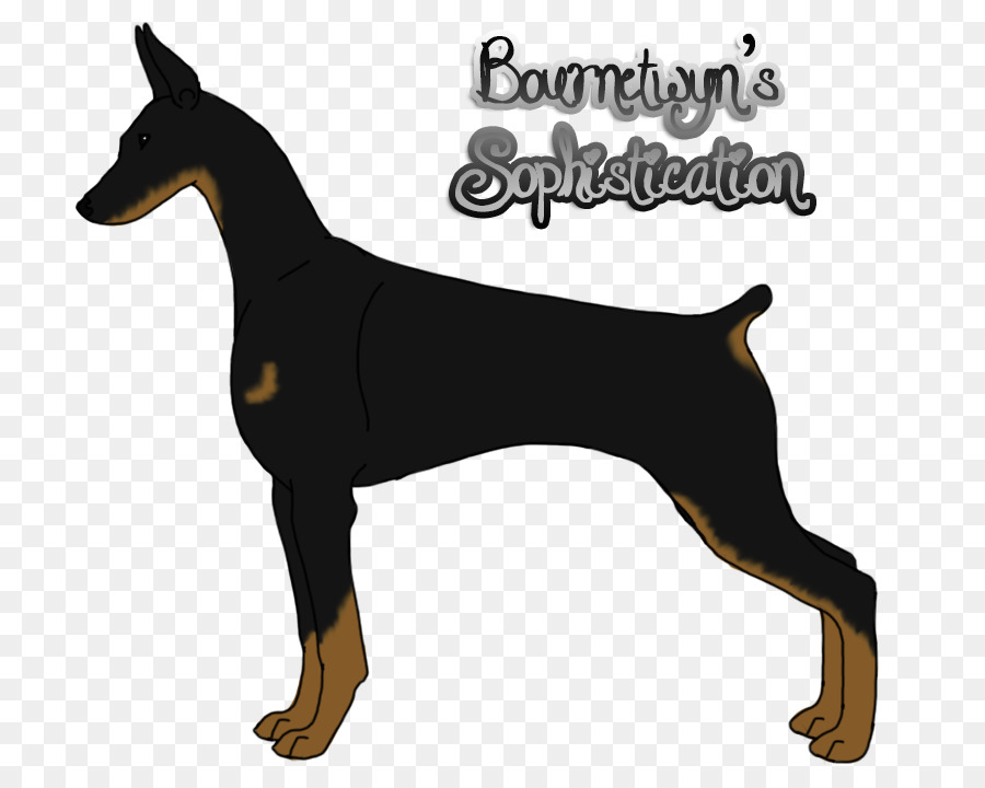 Chien，Animal De Compagnie PNG