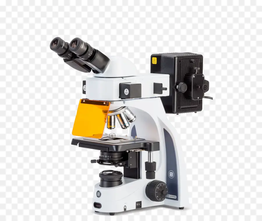 Microscope，Science PNG