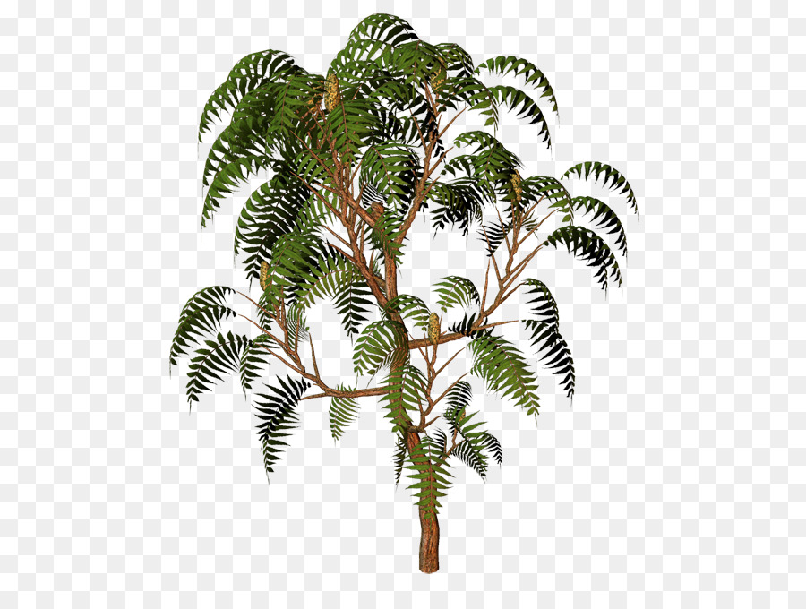 Arbre，Feuilles PNG