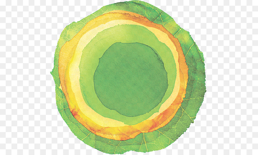 Cercle Vert，Vert PNG