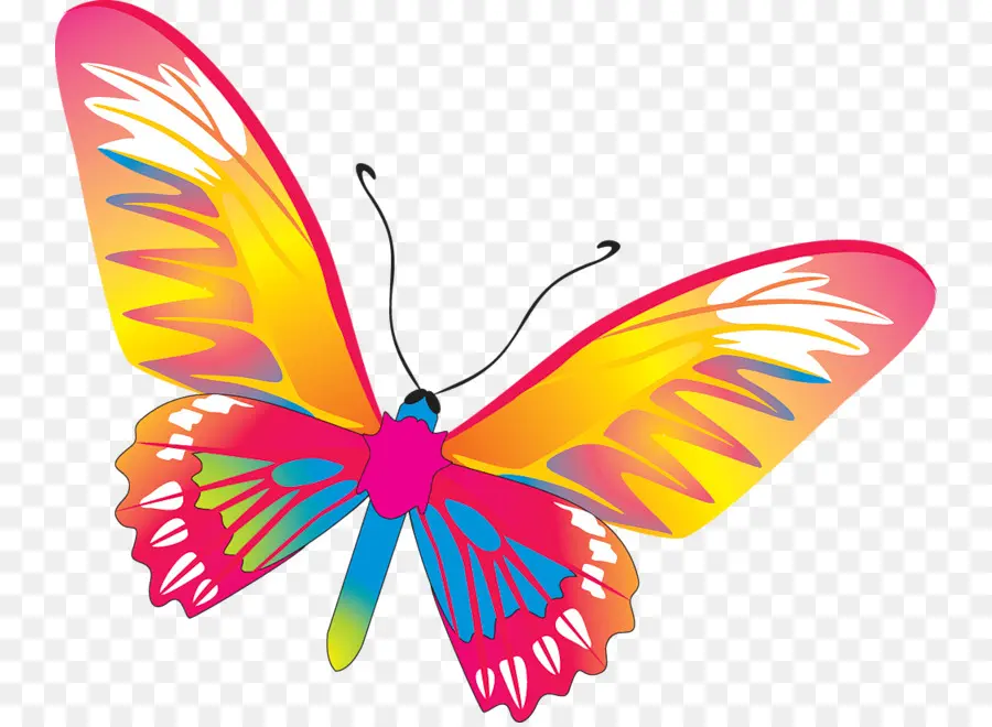 Papillon Arc En Ciel，Ailes PNG