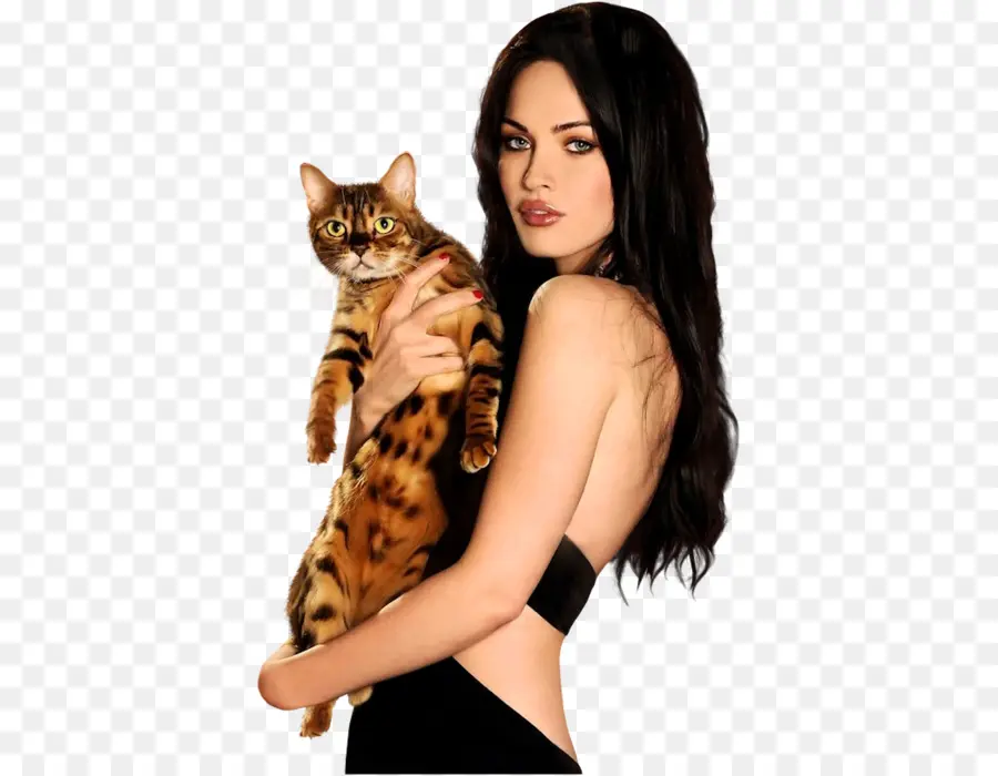 Femme Avec Chat，Animal De Compagnie PNG