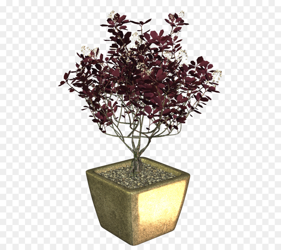 Bonsaï，Flowerpot PNG