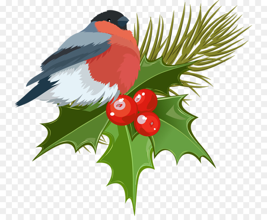 Oiseau，Chapeau De Père Noël PNG