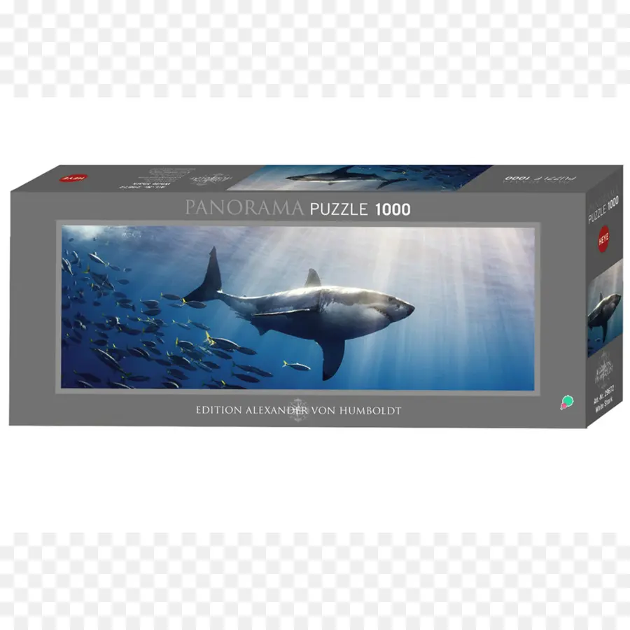 Puzzle De Requin，Poisson PNG