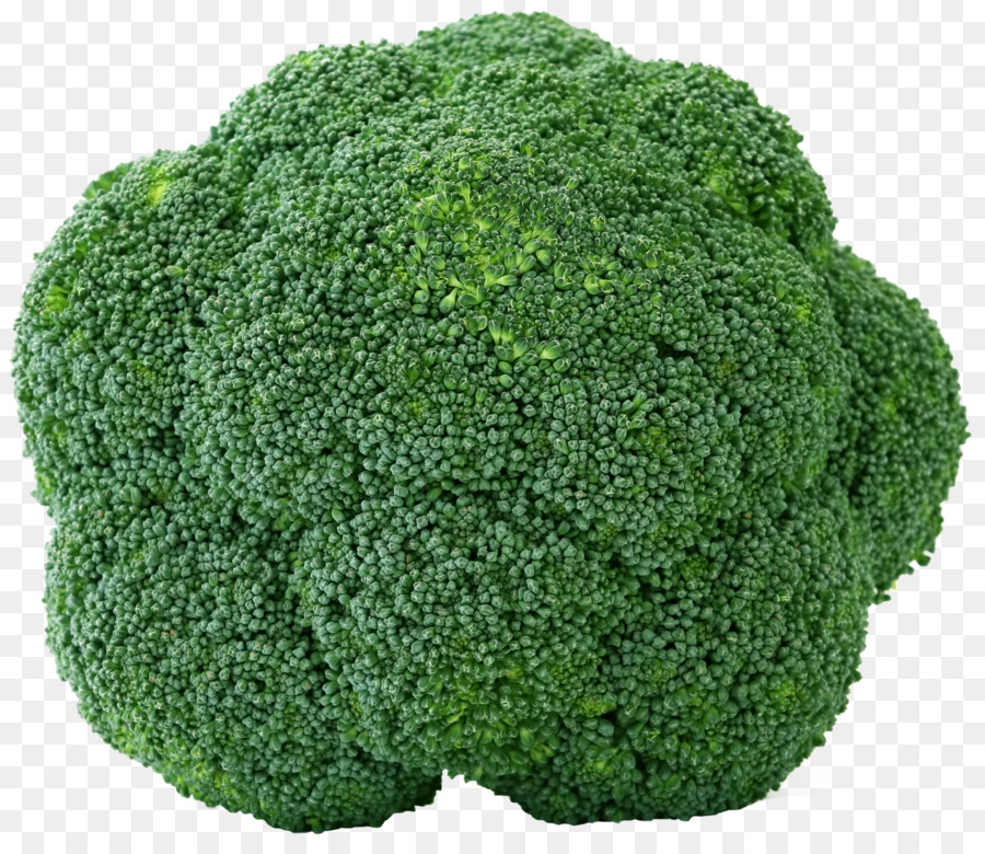 Brocoli，Vert PNG