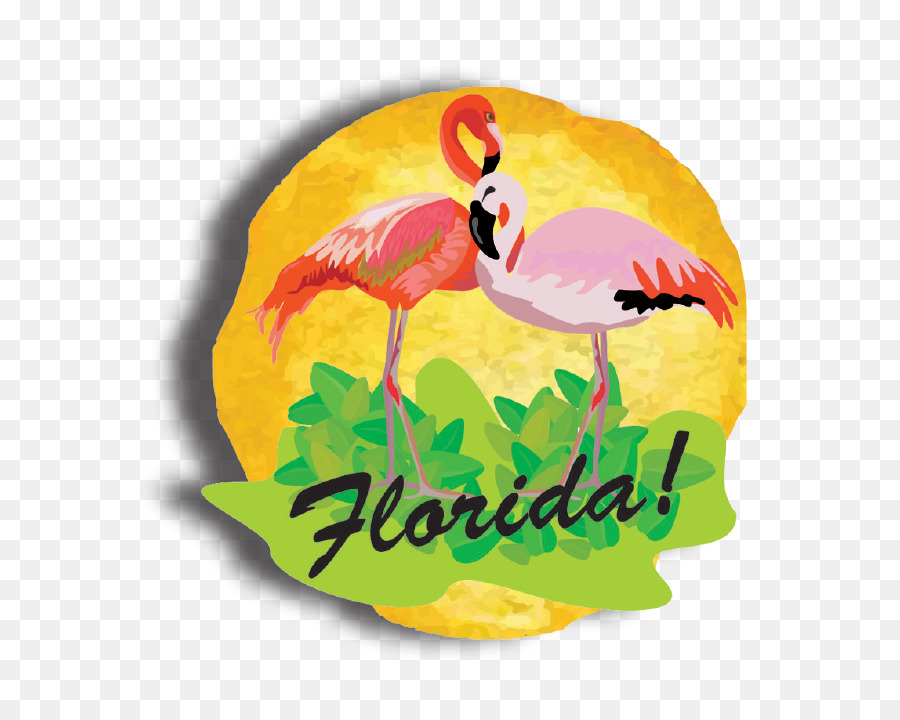 La Floride，Bec PNG