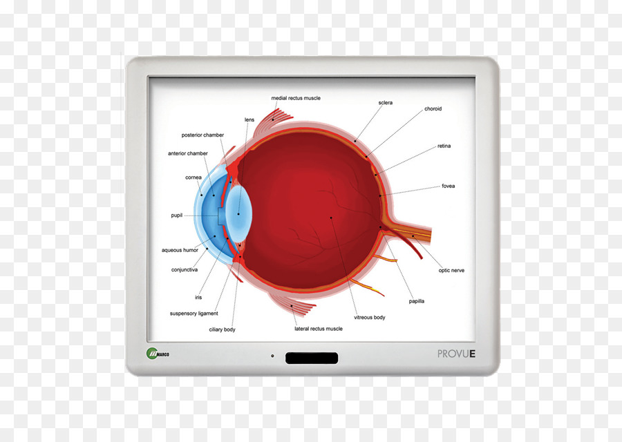 Dispositif D Affichage，Multimédia PNG