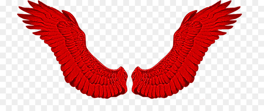 Ailes Rouges，Plumes PNG