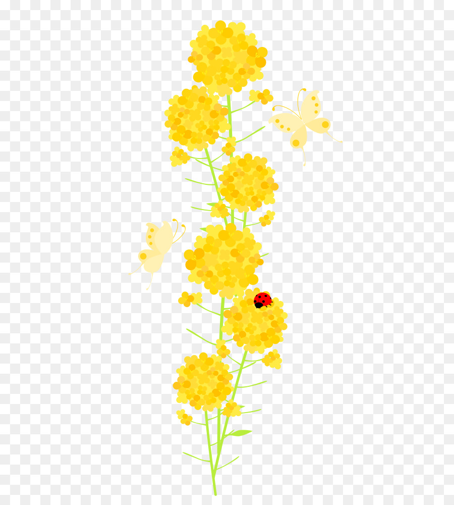 Commune De Tournesol，Les Fleurs Coupées PNG