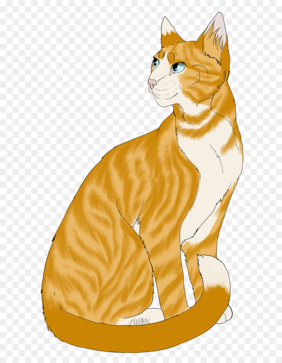 Chat Calico，Animal De Compagnie PNG