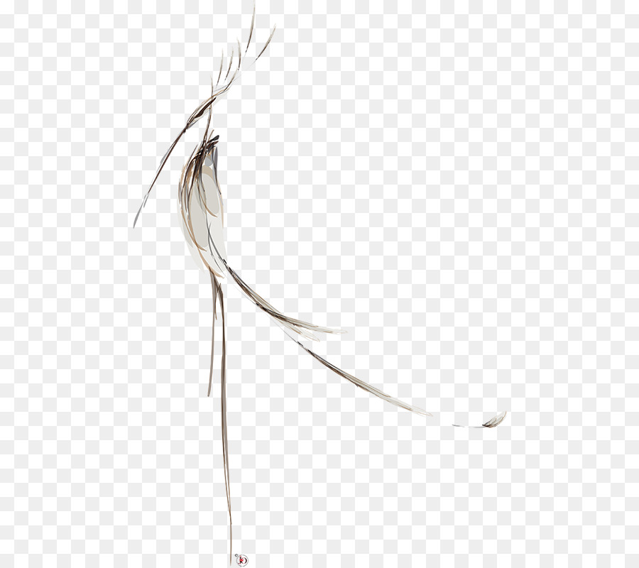 Plume，Ligne PNG