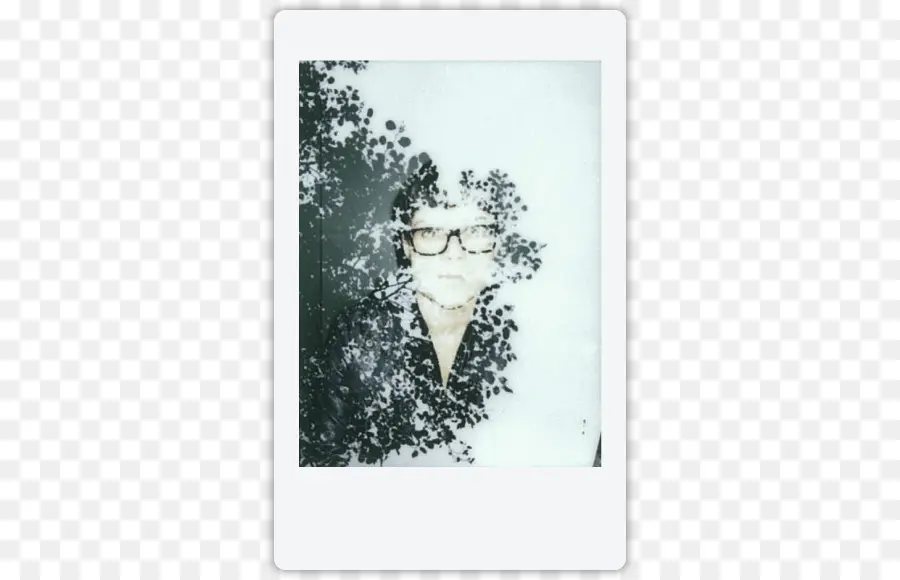 Le Film Photographique，Instax PNG