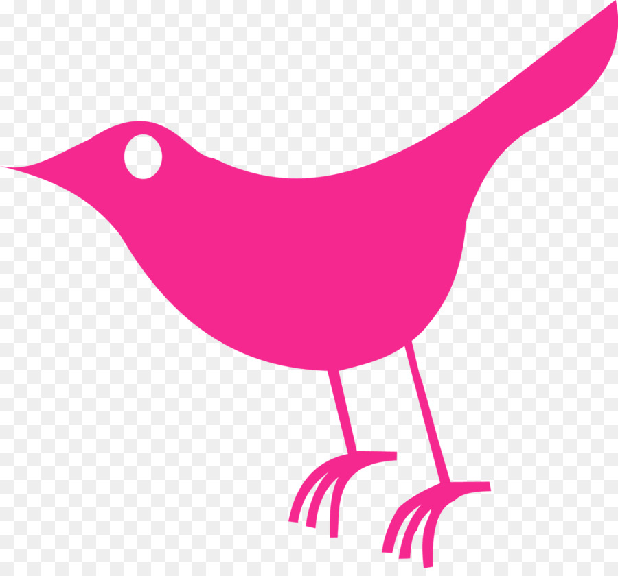 Oiseau Bleu，Animal PNG