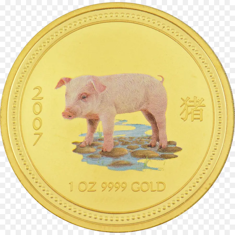 Pièce D'or，Cochon PNG