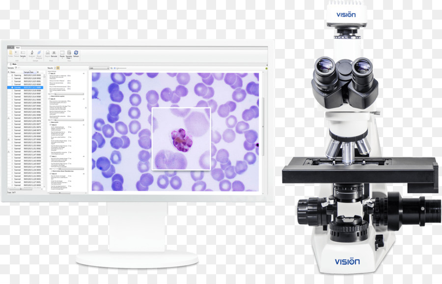 Microscope，Quartan Le Paludisme PNG