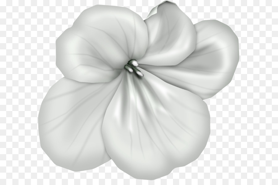 Pétale，Blanc PNG