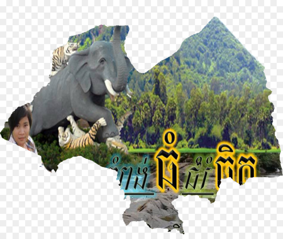 Dinosaure，La Faune PNG