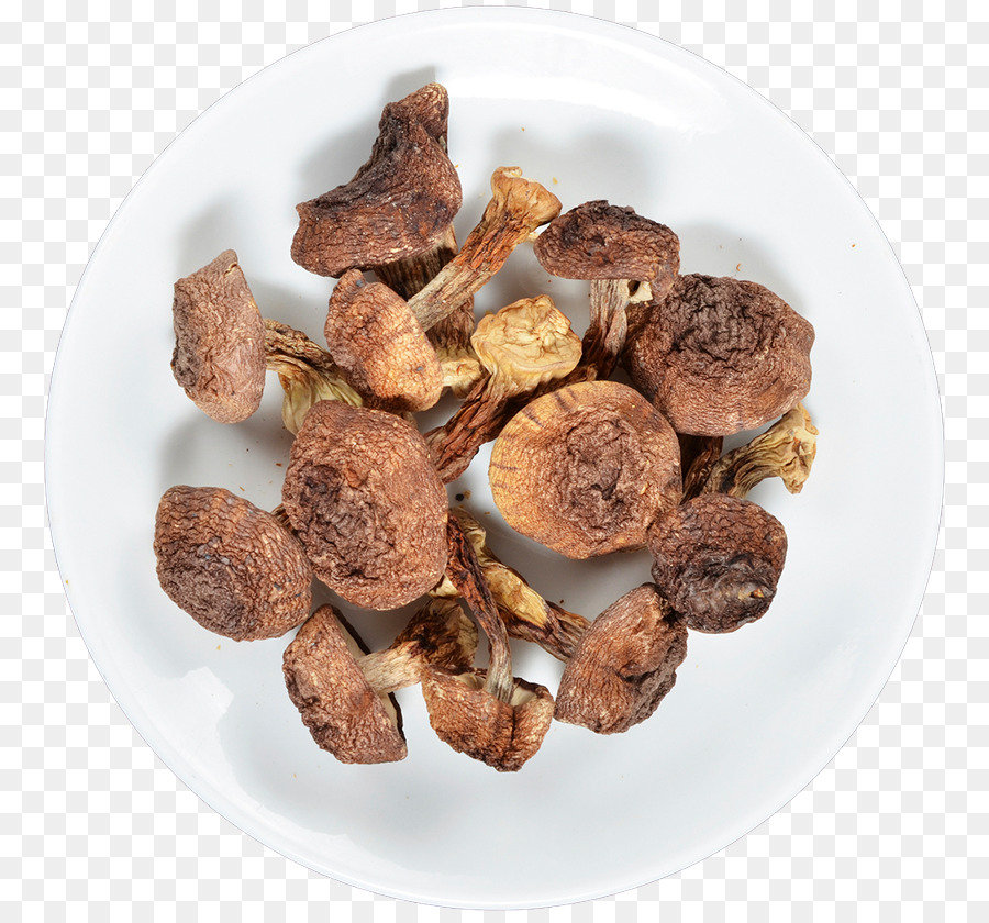 Complément Alimentaire，Agaricus Subrufescens PNG