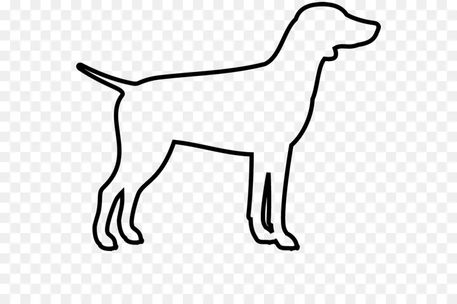 Chien，Animal De Compagnie PNG