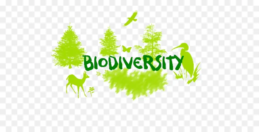 La Biodiversité，La Perte De La Biodiversité PNG