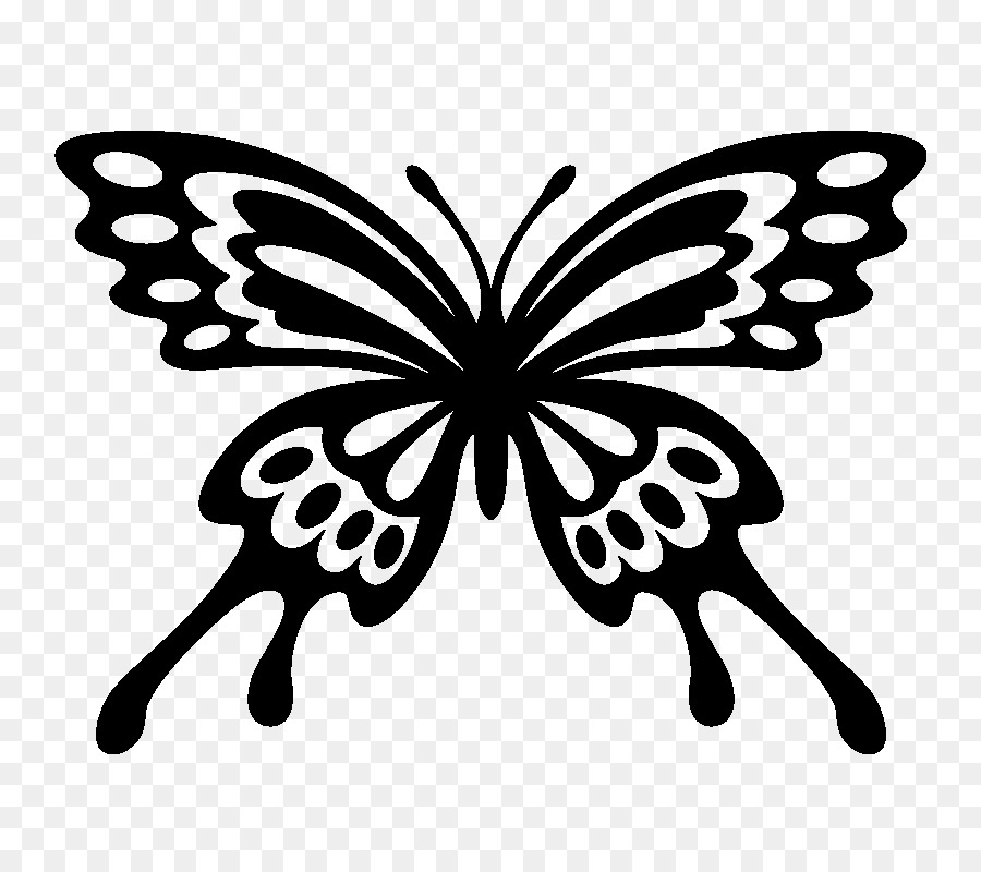 Papillon Noir，Insecte PNG