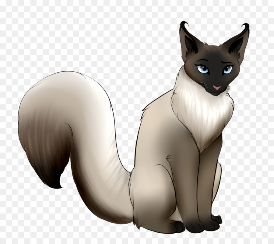 Chat Mignon，Yeux Bleus PNG