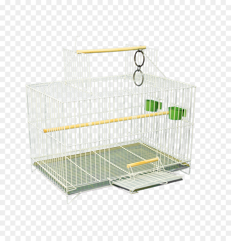 Cockatiel，Cage PNG