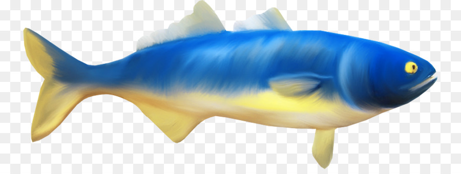 Requin，Chano PNG
