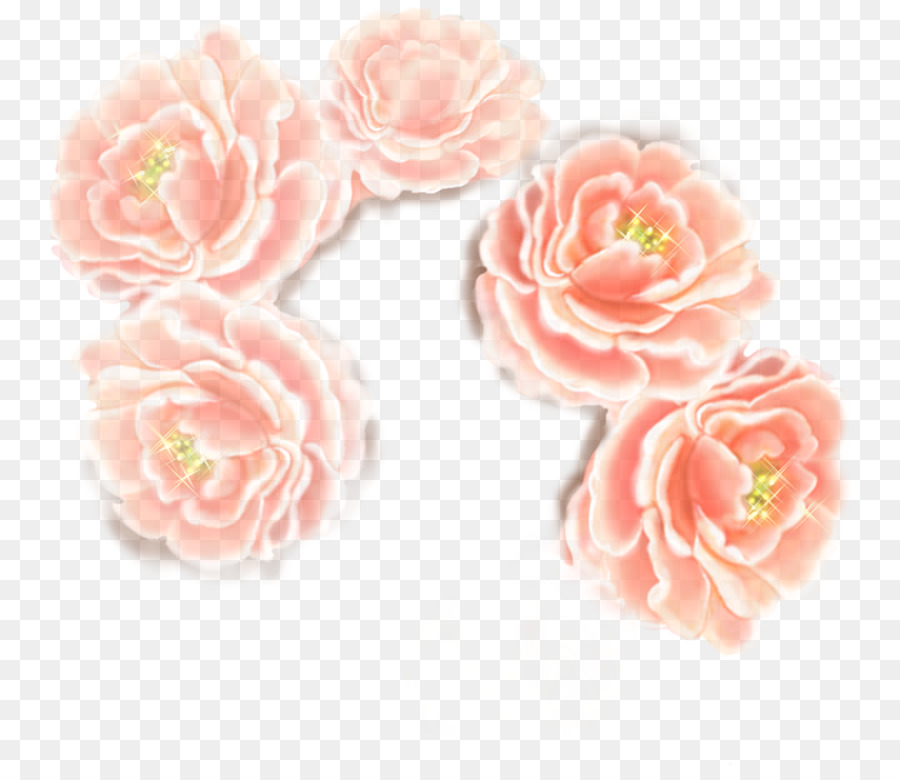 Les Roses De Jardin，Chou Rose PNG