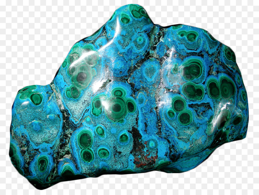 Turquoise，Organisme PNG