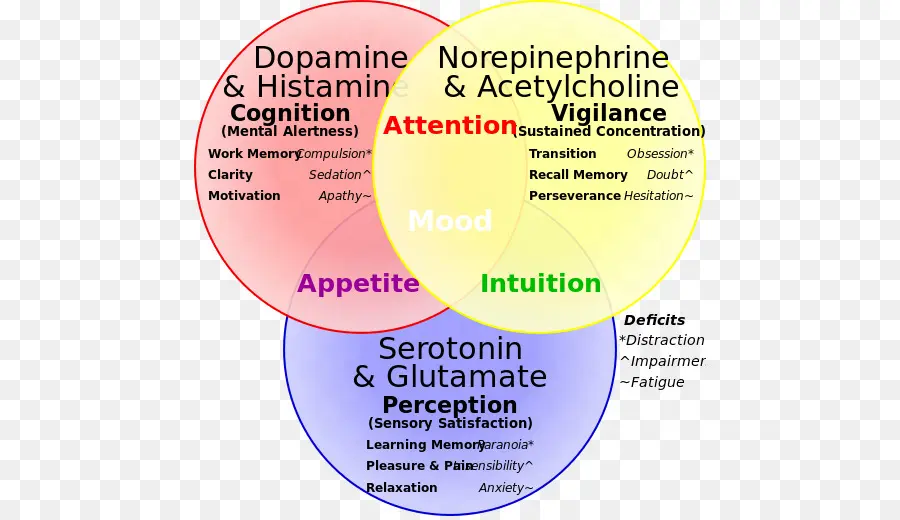 Neurotransmetteur，La Dopamine PNG