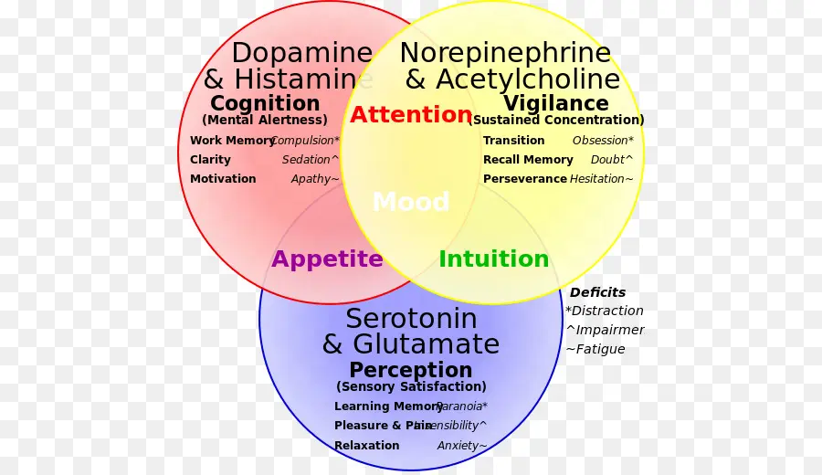 Neurotransmetteurs，Dopamine PNG