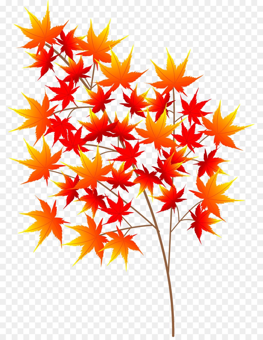 La Couleur Des Feuilles D Automne，L Automne PNG