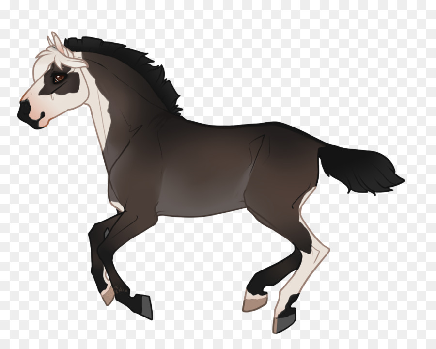 Cheval，équidé PNG