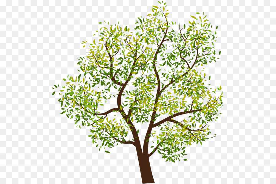 Arbre，Feuilles PNG