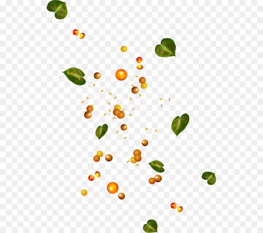 Pétale，Fruits PNG