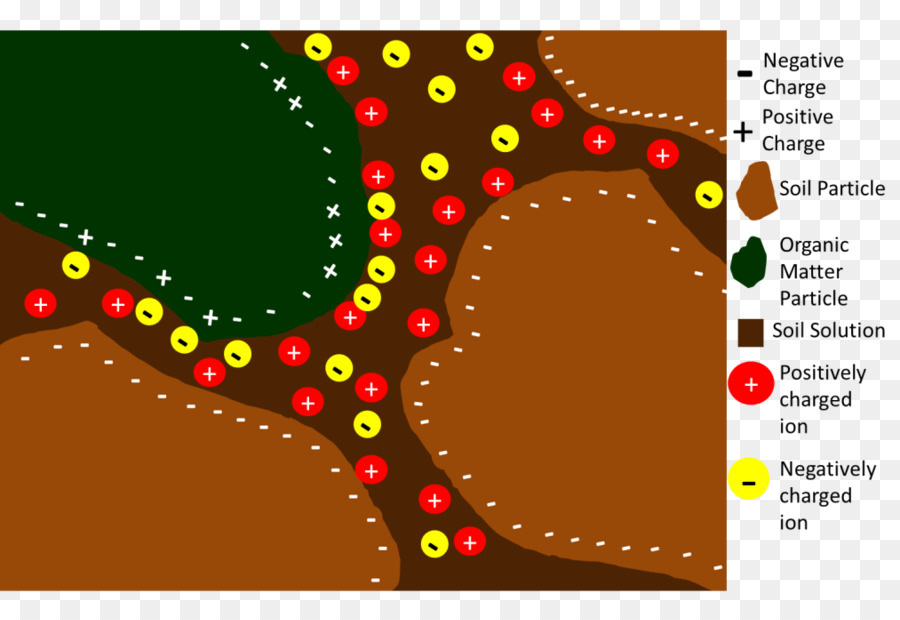 Des éléments Nutritifs，Sol PNG