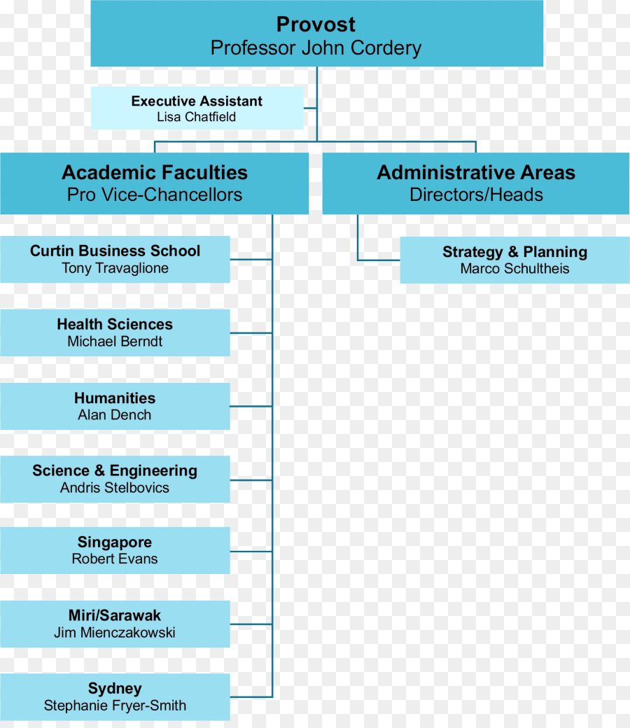 Organisation，Organigramme PNG