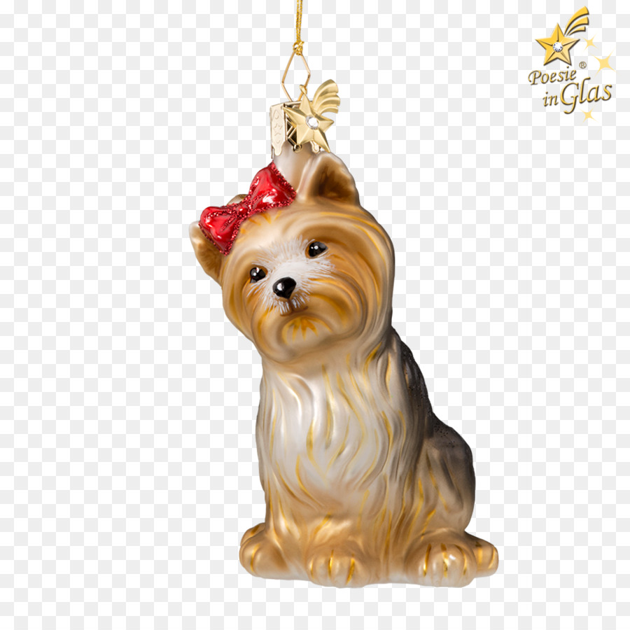 Le Yorkshire Terrier，Terrier De Cairn PNG