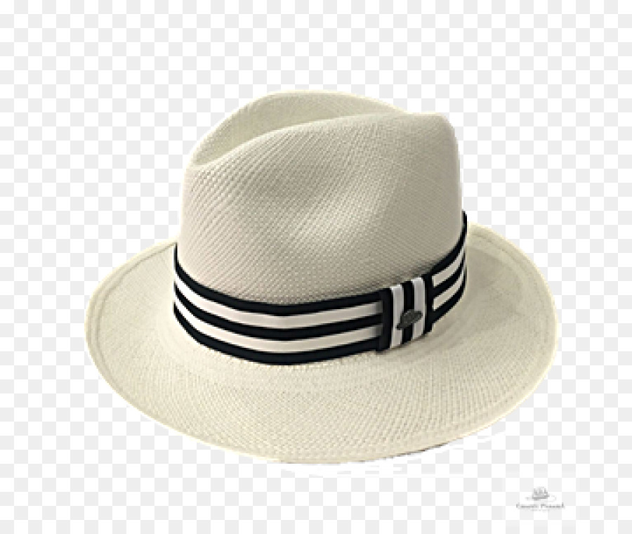 Fedora，Monsieur Chapeaux PNG