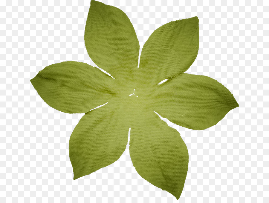 Feuille，Vert PNG